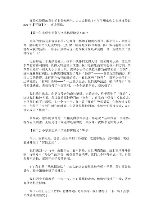 小学生想象作文丛林探险记500字【精选汇编】(最新)