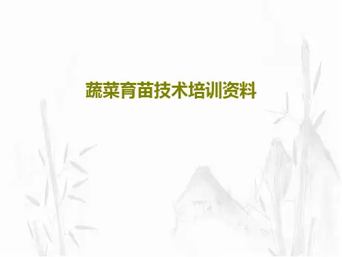 蔬菜育苗技术培训资料96页PPT