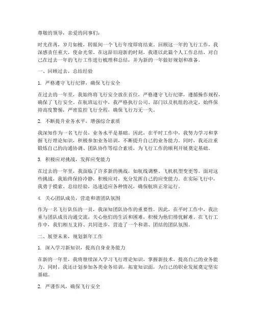 飞行队伍个人工作总结