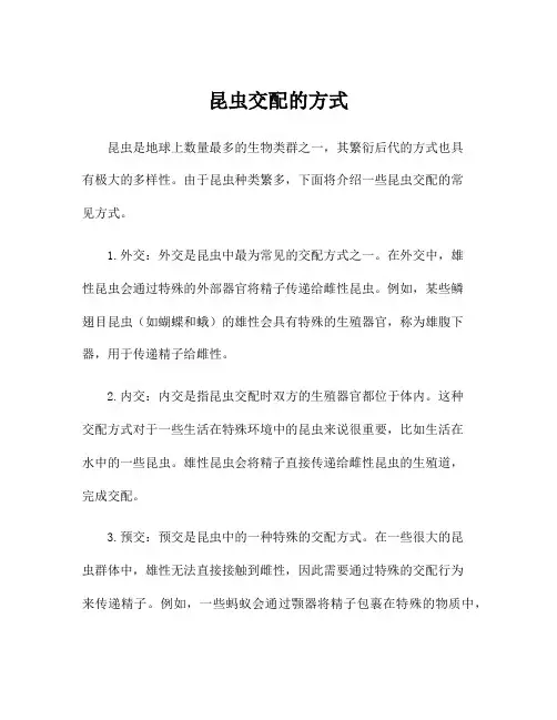 昆虫交配的方式