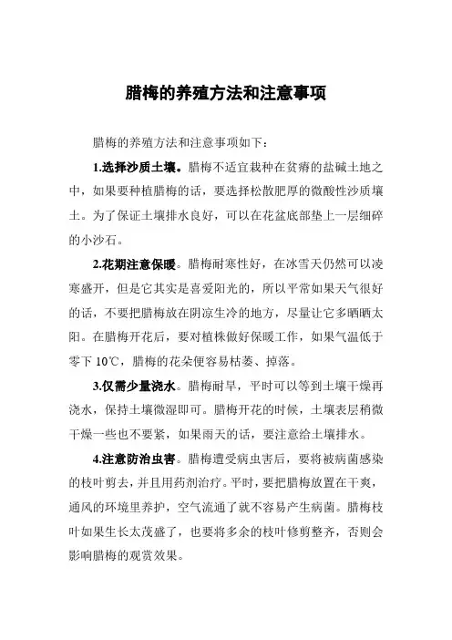 腊梅的养殖方法和注意事项