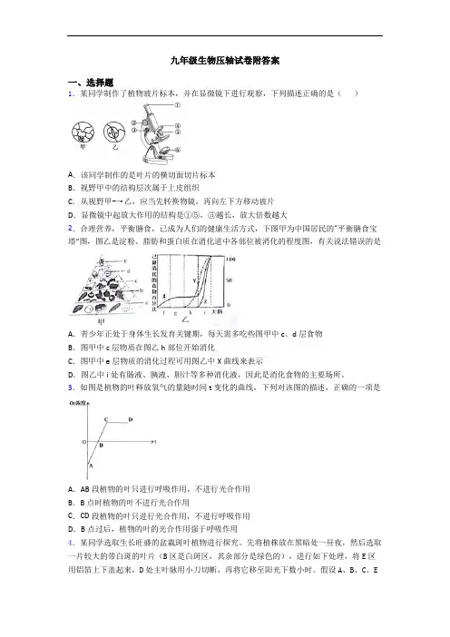 九年级生物压轴试卷附答案