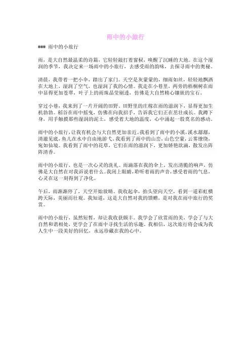 雨中的小旅行
