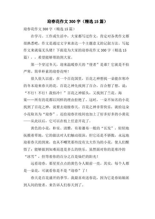 迎春花作文300字(15篇)