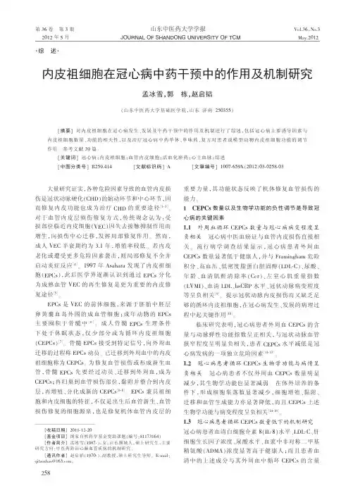 内皮祖细胞在冠心病中药干预中的作用及机制