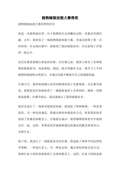 植物嫁接技能大赛得奖
