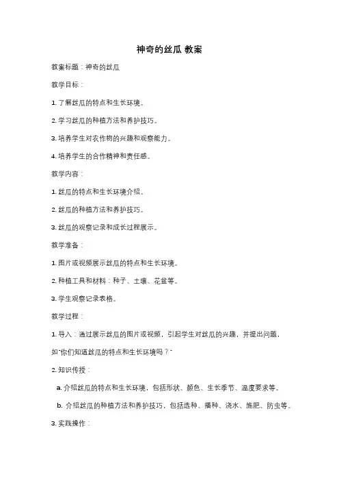 神奇的丝瓜 教案