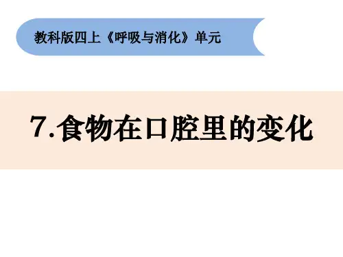 四年级上册科学教科版《食物在口腔里的变化》课件
