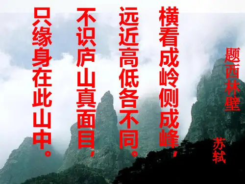 数学北师大版七年级上册三视图