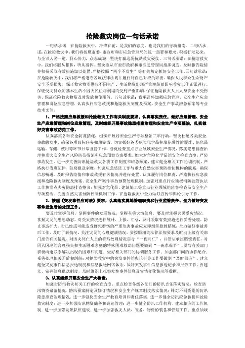抢险救灾岗位一句话承诺