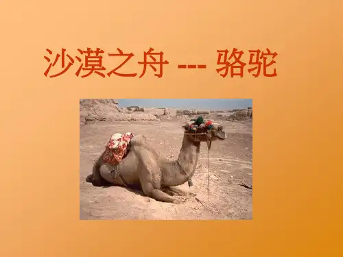 北师大版四年级语文下册《沙漠之舟》PPT课件(2篇)