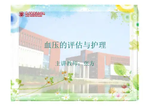 血压的评估与护理  课件