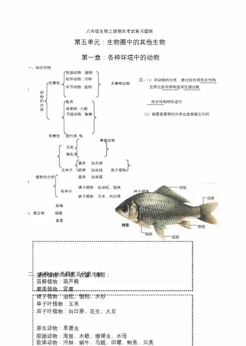 八年级上册生物复习提纲(完整整理)