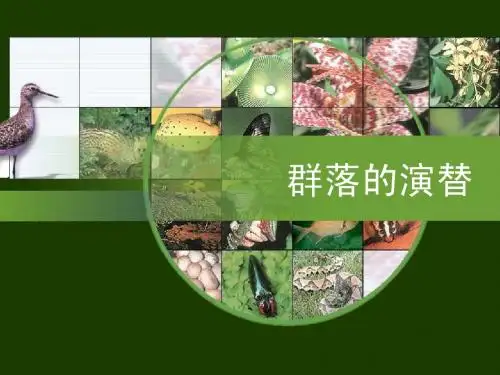 群落的演替