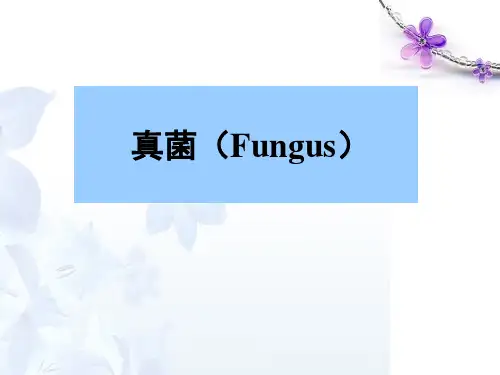 真菌PPT课件