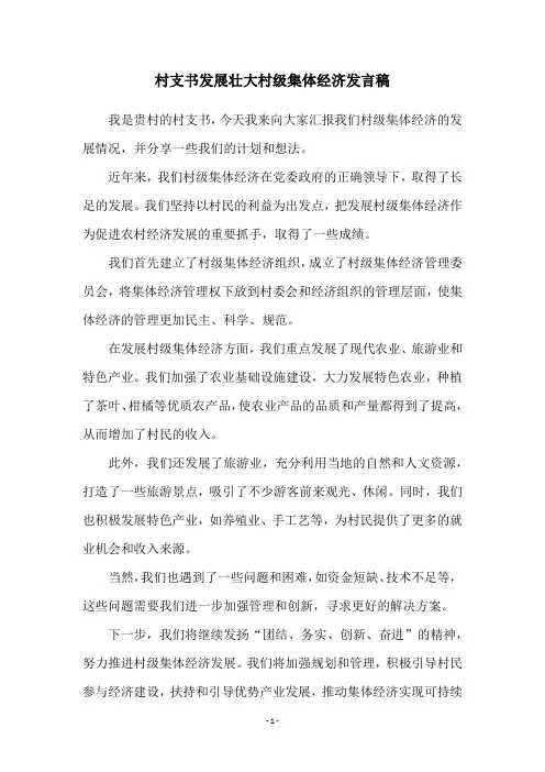 村支书发展壮大村级集体经济发言稿