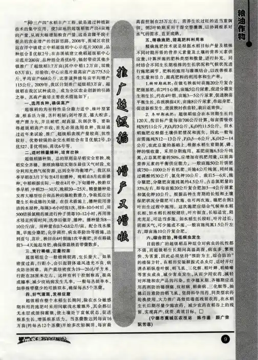 推广超级稻