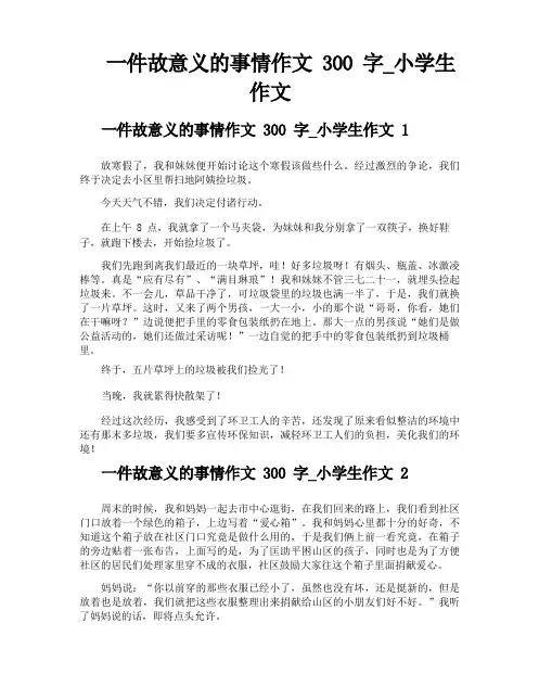 一件有意义的事情作文300字小学生作文