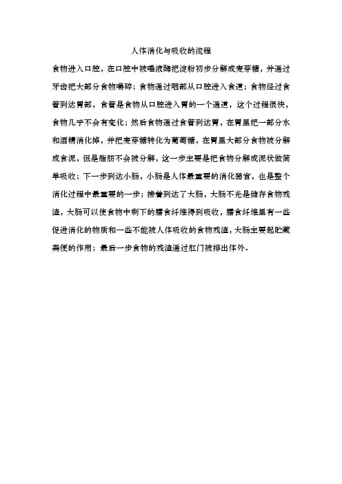 人体消化与吸收的流程