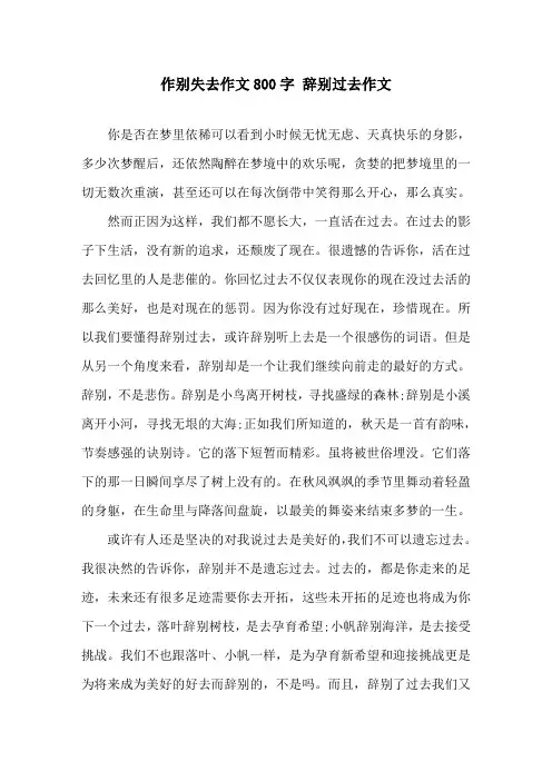 作别失去作文800字 告别过去作文精选
