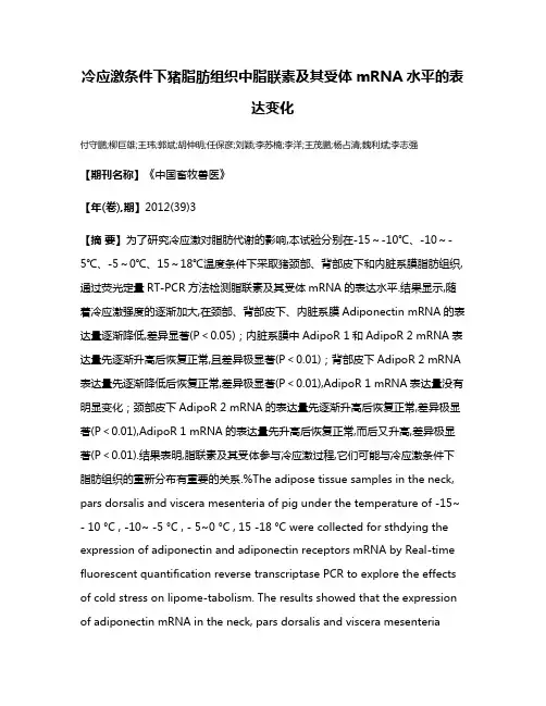冷应激条件下猪脂肪组织中脂联素及其受体mRNA水平的表达变化