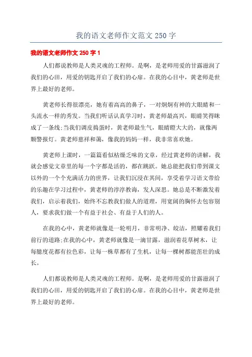 我的语文老师作文范文250字