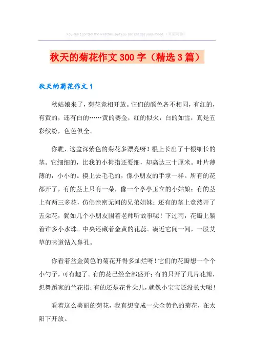 秋天的菊花作文300字(精选3篇)