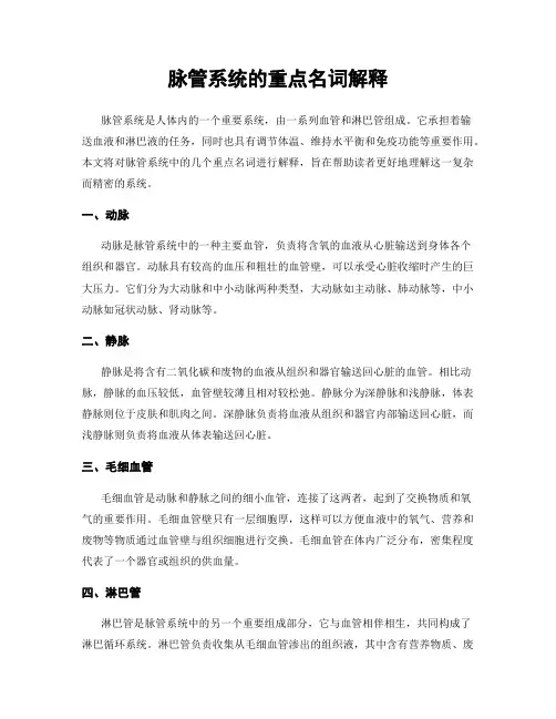 脉管系统的重点名词解释