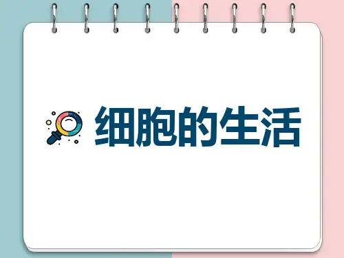 人教版初中生物七年级上册细胞的生活课件PPT