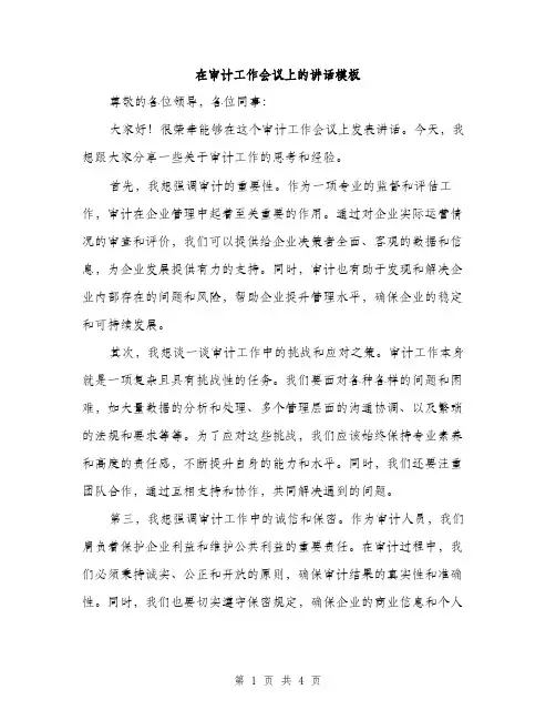 在审计工作会议上的讲话模板（2篇）