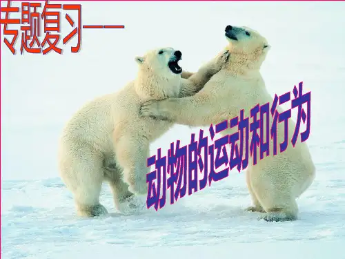 动物的运动和行为复习课ppt课件