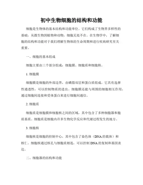 初中生物细胞的结构和功能