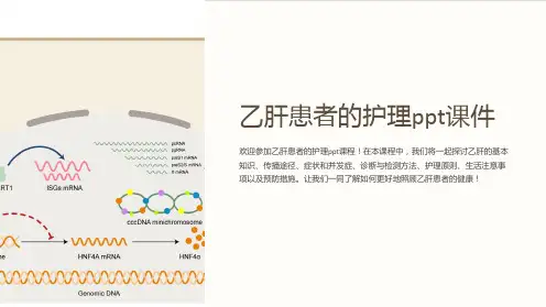 乙肝患者的护理课件