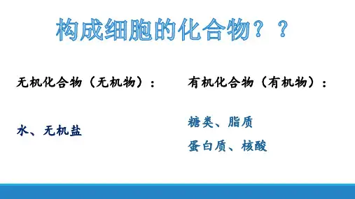 1.2 生物大分子以碳链为骨架——糖类-高一生物课件(浙科版2019必修1)