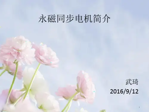 永磁同步电机简介 ppt课件