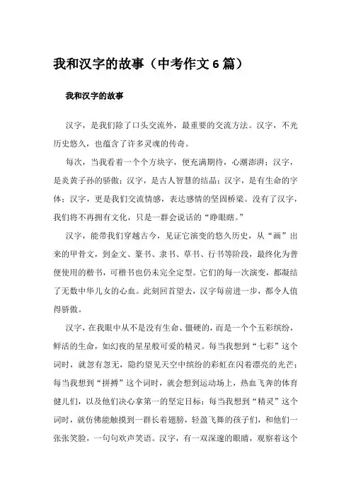 我和汉字的故事(中考作文6篇)
