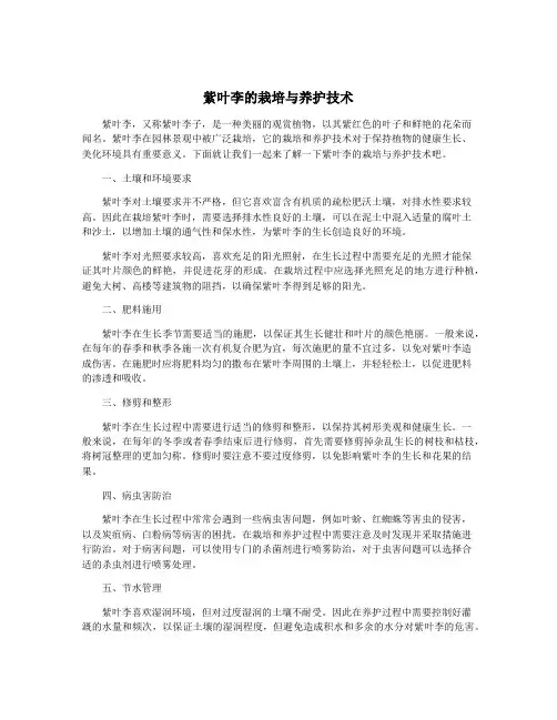 紫叶李的栽培与养护技术