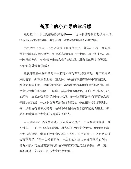 高原上的小向导的读后感