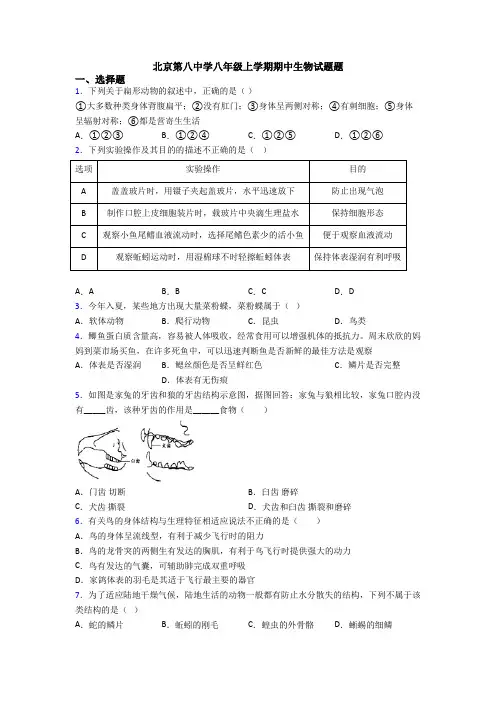 北京第八中学八年级上学期期中生物试题题