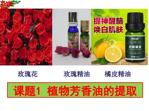 人教版高中生物选修(一) 植物芳香油的提取  课件  (共34张PPT)