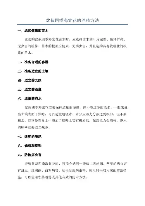盆栽四季海棠花的养殖方法