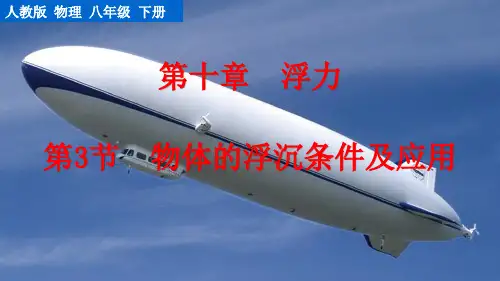 人教版物理八年级下册第3节  物体的浮沉条件及应用课件