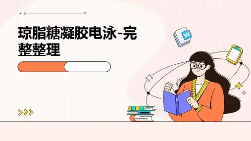 琼脂糖凝胶电泳-完整整理