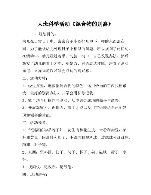 大班科学活动《混合物的分离》