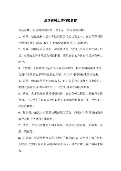 生活在树上的动物名称