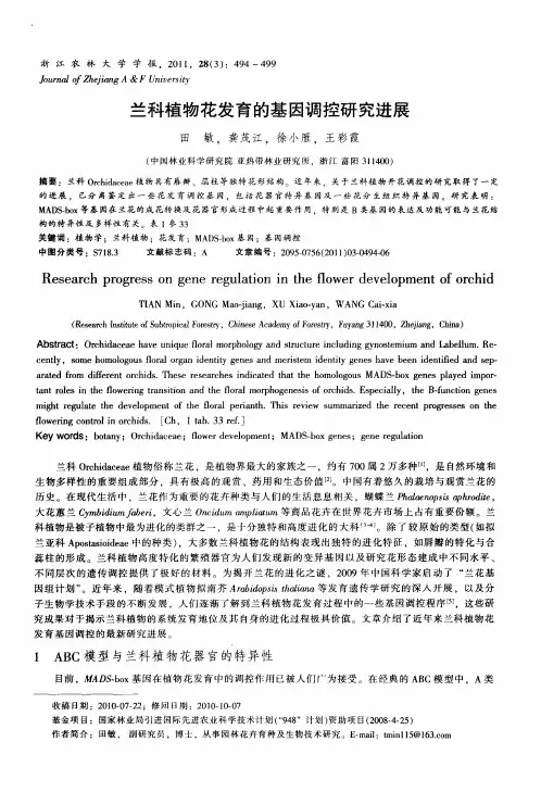 兰科植物花发育的基因调控研究进展
