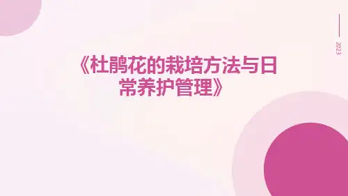 杜鹃花的栽培方法与日常养护管理