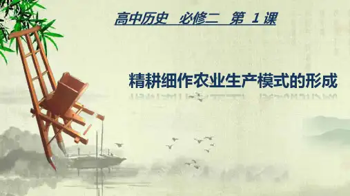 高二历史复习岳麓版必修二第1课 精耕细作农业生产模式的形成(共30张PPT)