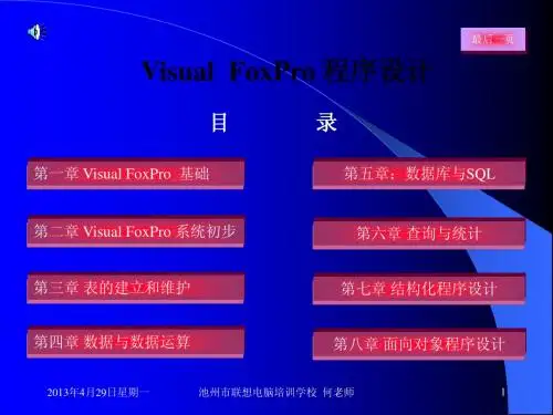 VFP课件