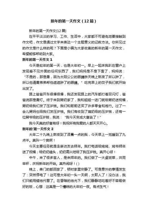 新年的第一天作文（12篇）